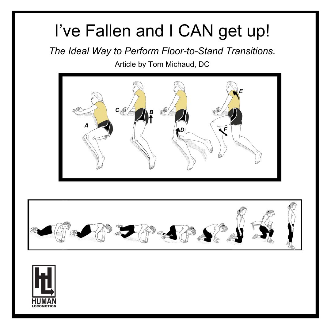 I've Fallen and I CAN Get Up! The Ideal Way to Perform Floor-to-Stand  Transitions. - Human Locomotion